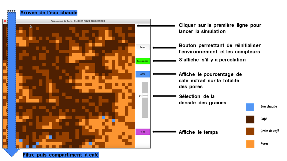 Introduction Théorie de la percolation du café
